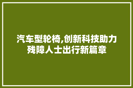 汽车型轮椅,创新科技助力残障人士出行新篇章