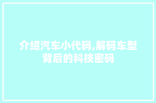 介绍汽车小代码,解码车型背后的科技密码