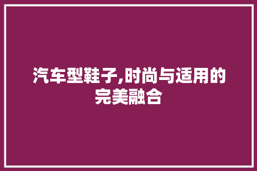 汽车型鞋子,时尚与适用的完美融合