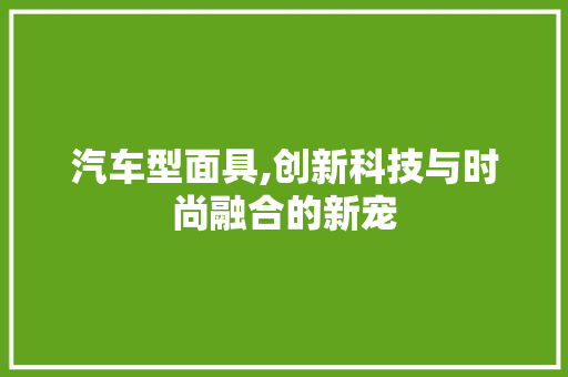 汽车型面具,创新科技与时尚融合的新宠