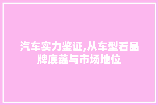 汽车实力鉴证,从车型看品牌底蕴与市场地位
