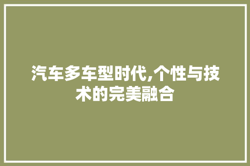 汽车多车型时代,个性与技术的完美融合