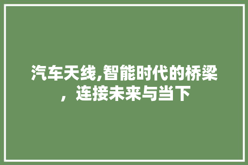 汽车天线,智能时代的桥梁，连接未来与当下
