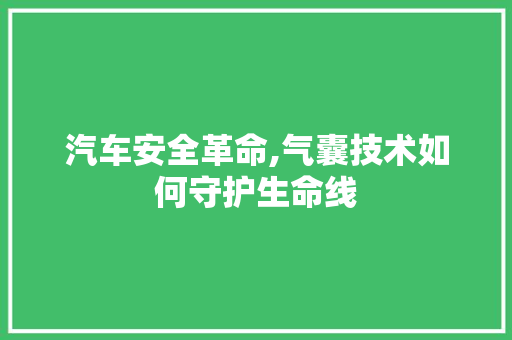 汽车安全革命,气囊技术如何守护生命线