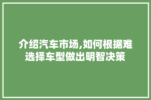 介绍汽车市场,如何根据难选择车型做出明智决策