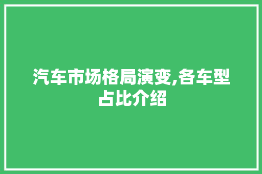 汽车市场格局演变,各车型占比介绍