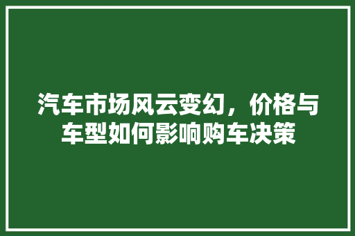 汽车市场风云变幻，价格与车型如何影响购车决策