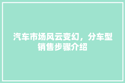 汽车市场风云变幻，分车型销售步骤介绍