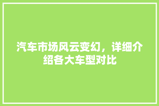 汽车市场风云变幻，详细介绍各大车型对比