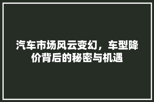 汽车市场风云变幻，车型降价背后的秘密与机遇