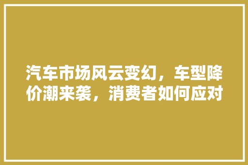 汽车市场风云变幻，车型降价潮来袭，消费者如何应对
