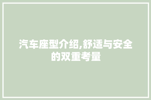 汽车座型介绍,舒适与安全的双重考量