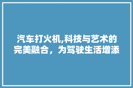 汽车打火机,科技与艺术的完美融合，为驾驶生活增添无限魅力 底盘配件