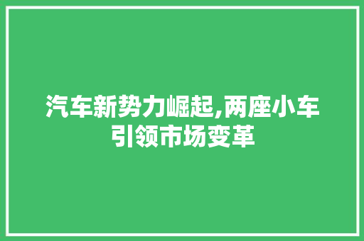 汽车新势力崛起,两座小车引领市场变革