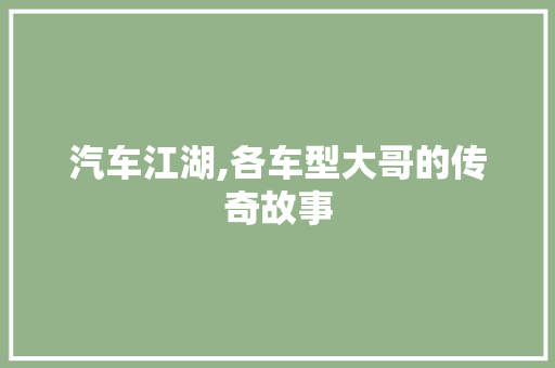 汽车江湖,各车型大哥的传奇故事