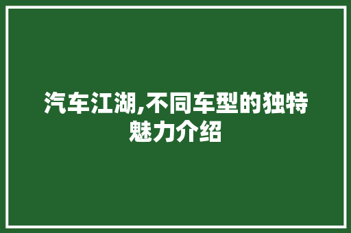 汽车江湖,不同车型的独特魅力介绍