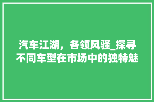 汽车江湖，各领风骚_探寻不同车型在市场中的独特魅力