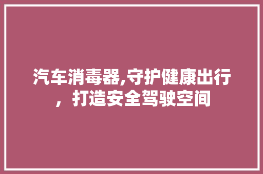 汽车消毒器,守护健康出行，打造安全驾驶空间