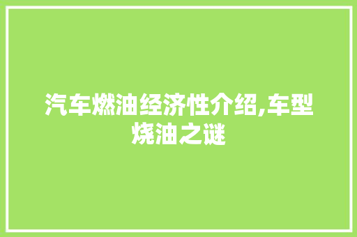 汽车燃油经济性介绍,车型烧油之谜