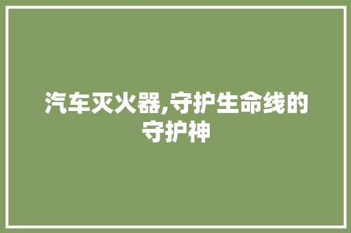 汽车灭火器,守护生命线的守护神