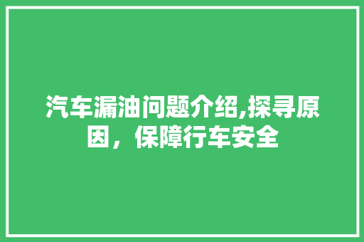 汽车漏油问题介绍,探寻原因，保障行车安全