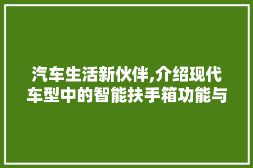 汽车生活新伙伴,介绍现代车型中的智能扶手箱功能与设计美学 车身配件
