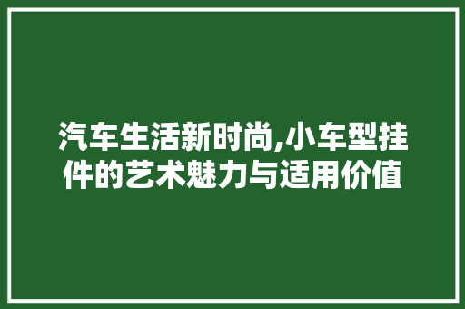 汽车生活新时尚,小车型挂件的艺术魅力与适用价值