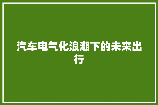 汽车电气化浪潮下的未来出行