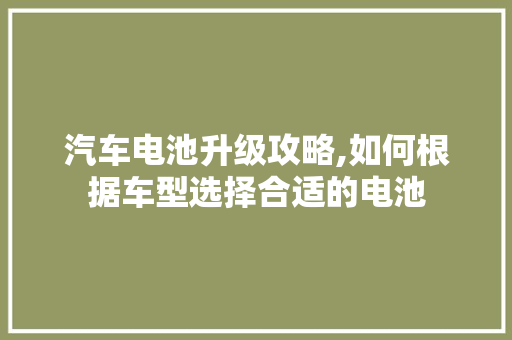 汽车电池升级攻略,如何根据车型选择合适的电池