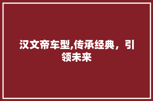 汉文帝车型,传承经典，引领未来