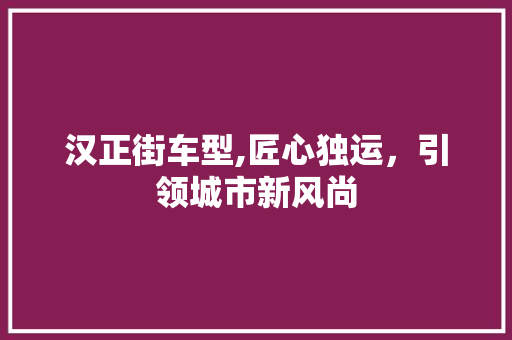 汉正街车型,匠心独运，引领城市新风尚