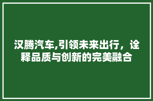 汉腾汽车,引领未来出行，诠释品质与创新的完美融合