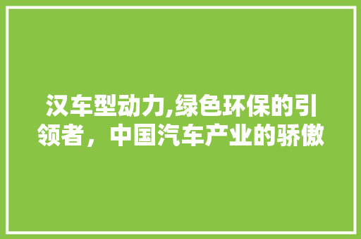 汉车型动力,绿色环保的引领者，中国汽车产业的骄傲