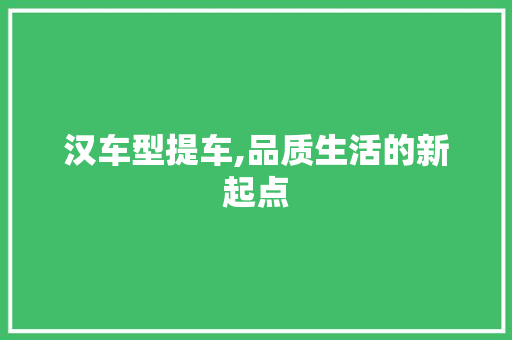 汉车型提车,品质生活的新起点