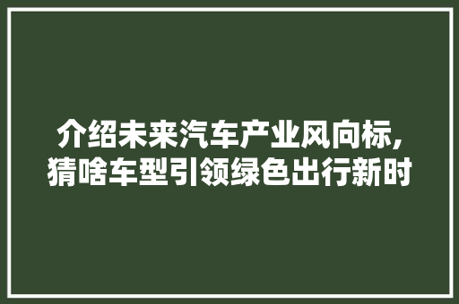 介绍未来汽车产业风向标,猜啥车型引领绿色出行新时代