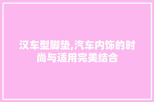 汉车型脚垫,汽车内饰的时尚与适用完美结合