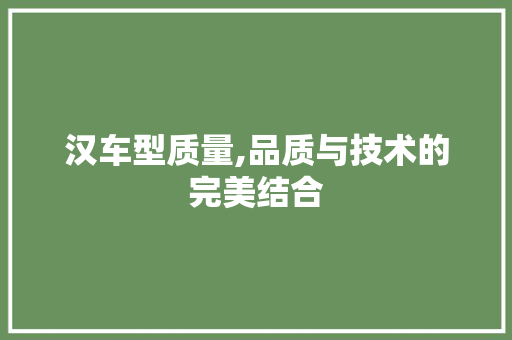 汉车型质量,品质与技术的完美结合