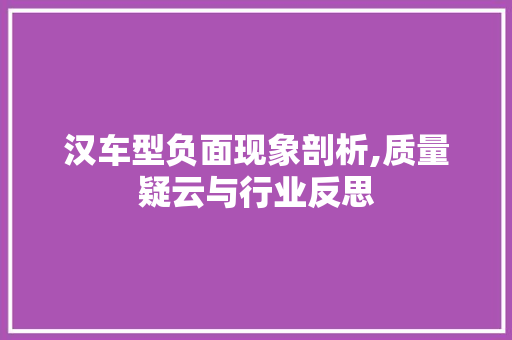 汉车型负面现象剖析,质量疑云与行业反思