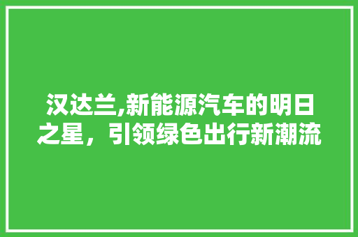 汉达兰,新能源汽车的明日之星，引领绿色出行新潮流
