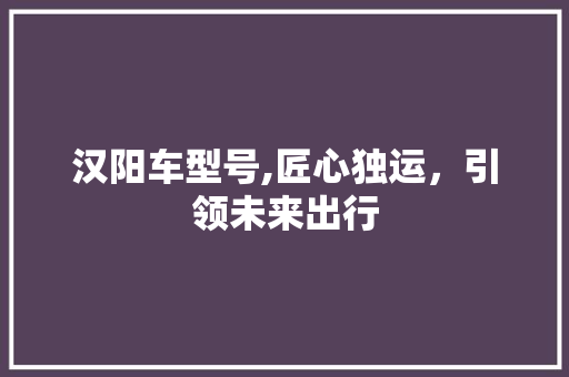 汉阳车型号,匠心独运，引领未来出行