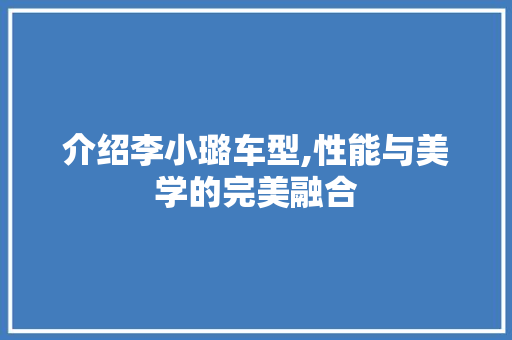 介绍李小璐车型,性能与美学的完美融合