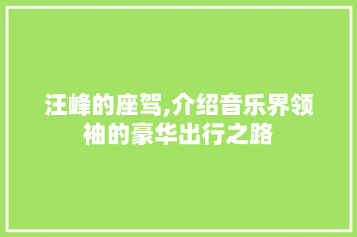 汪峰的座驾,介绍音乐界领袖的豪华出行之路