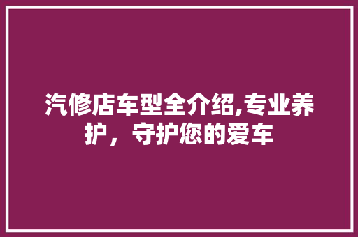 汽修店车型全介绍,专业养护，守护您的爱车