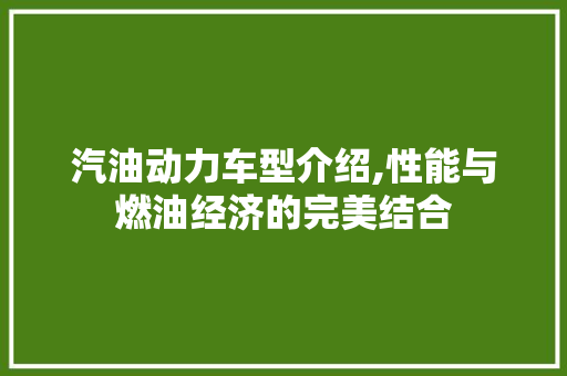 汽油动力车型介绍,性能与燃油经济的完美结合
