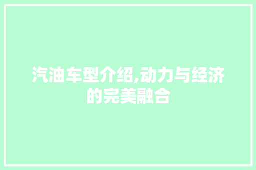汽油车型介绍,动力与经济的完美融合