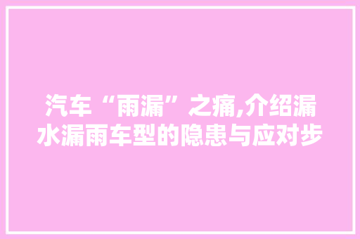 汽车“雨漏”之痛,介绍漏水漏雨车型的隐患与应对步骤