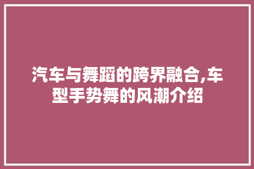 汽车与舞蹈的跨界融合,车型手势舞的风潮介绍