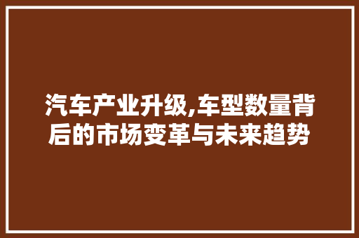 汽车产业升级,车型数量背后的市场变革与未来趋势