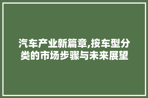 汽车产业新篇章,按车型分类的市场步骤与未来展望