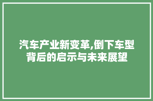 汽车产业新变革,倒下车型背后的启示与未来展望